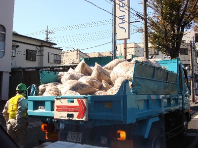 落ち葉が散らかると