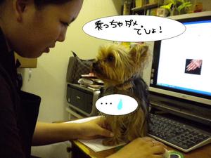 4コマ★マンガ★