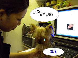 4コマ★マンガ★