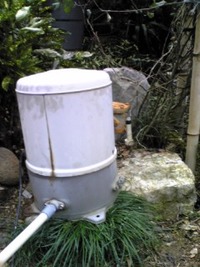 恵みの水 2009/10/25 20:24:06