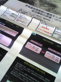 布への印刷 2010/06/20 15:49:02