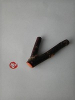 桜の小枝のはんこ