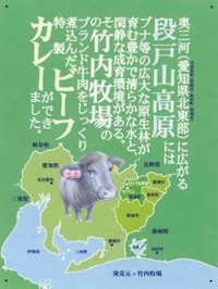 段戸山高原のカレー 2011/05/15 21:32:00