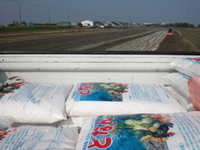 野菜の収穫情報 2011/06/10 23:32:27