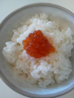 ＊おこちゃま弁＆パパ弁＊
