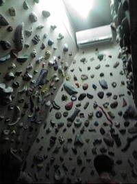 ここは高原？ 2011/06/24 19:53:55