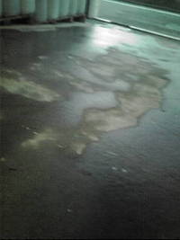 打ち水 2011/08/03 18:58:03